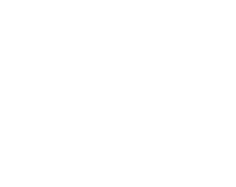 LISA & NATIONS